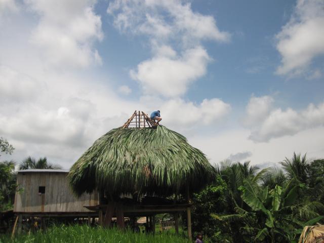 Hombre Embera, coloca hojas de palmera la cual se utiliza para cubrir la parte superior de la casa Embera. 