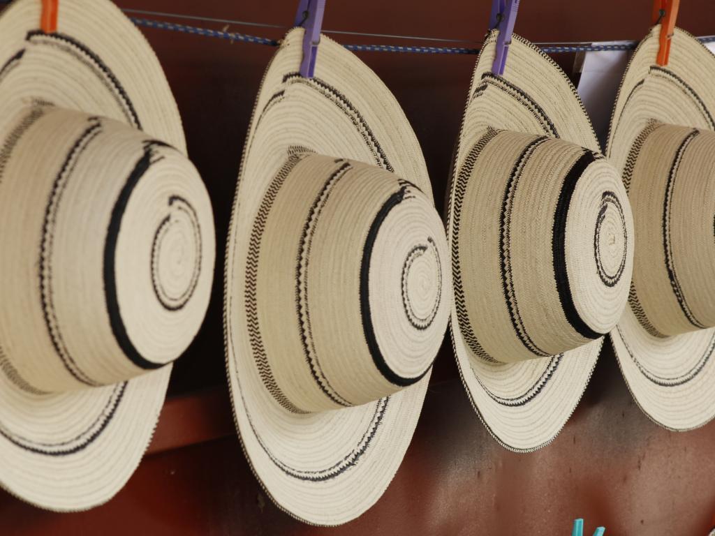 El proceso de elaboración del sombrero pintao es de origen prehispánico y se teje con fibras del junco, el cogollo de la bellota, la pita y la chonta