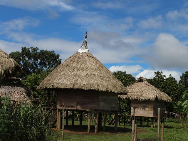 Vistaso de una comunidad Embera con sus casas tradiconales, confeccionadas con materiales naturales del area. 