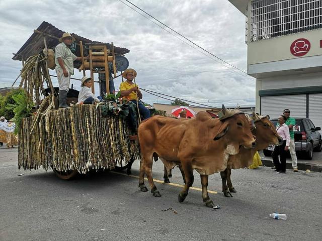 El Festival del Toro Guapo cierra con el desfile de las carretas tradicionales.  Bernie Garrido