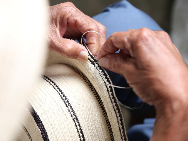 La trenza se cose con hilo de pita y se va uniendo hasta alcanzar el terminado del sombrero pintao.  Bernie Garrido