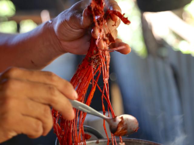 Proceso del teñido de la chonta para tejer las pintas y talcos o tarcos.  Bernie Garrido